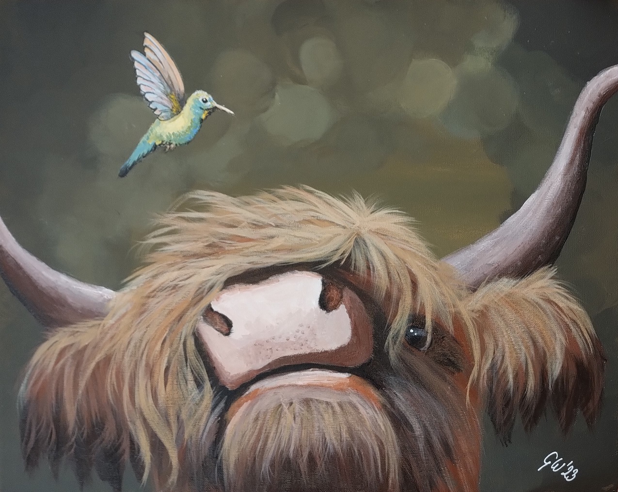 Highland Cow
